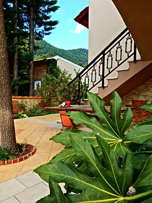 Panorama Apartments And Studios Chrysi Ammoudia Exterior photo